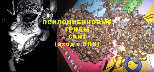 кокс Арсеньев