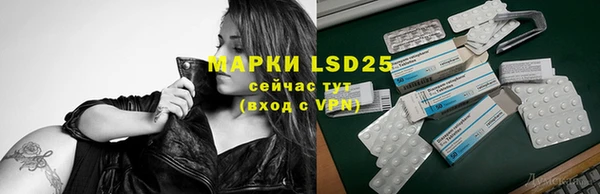 сатива Надым