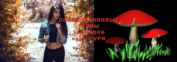 кокс Арсеньев