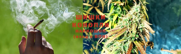эйфоретик Аркадак